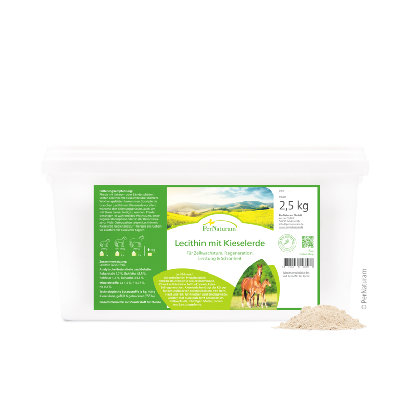 PerNaturam | Lecithine Silica