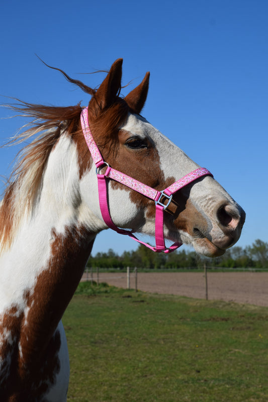 Happy Halsters x FMH - Pink Cowgirl Exclusive halster div. kleuren