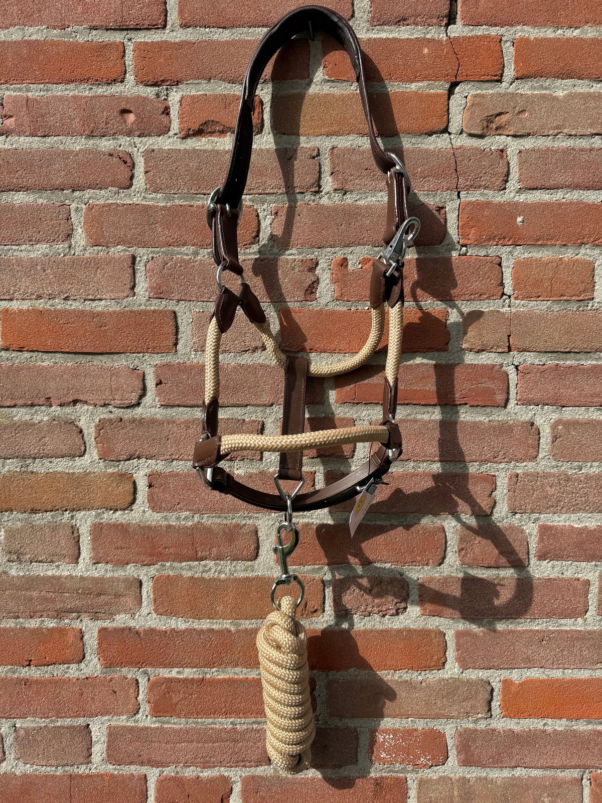 FMH - Havana lederen halsterset met gekleurd touw incl. halstertouw ‘Cream Heritage’