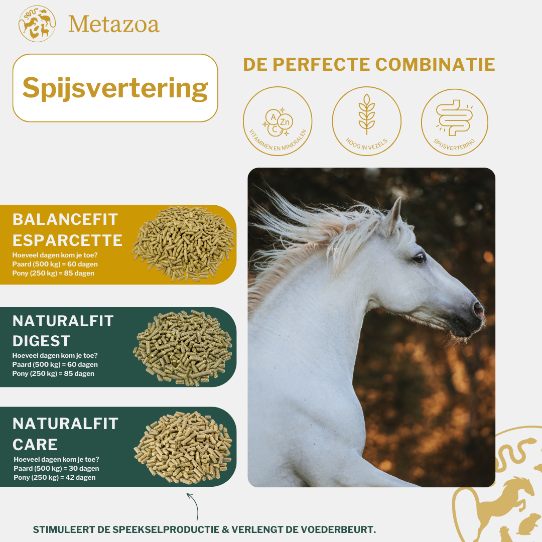 Spijsvertering