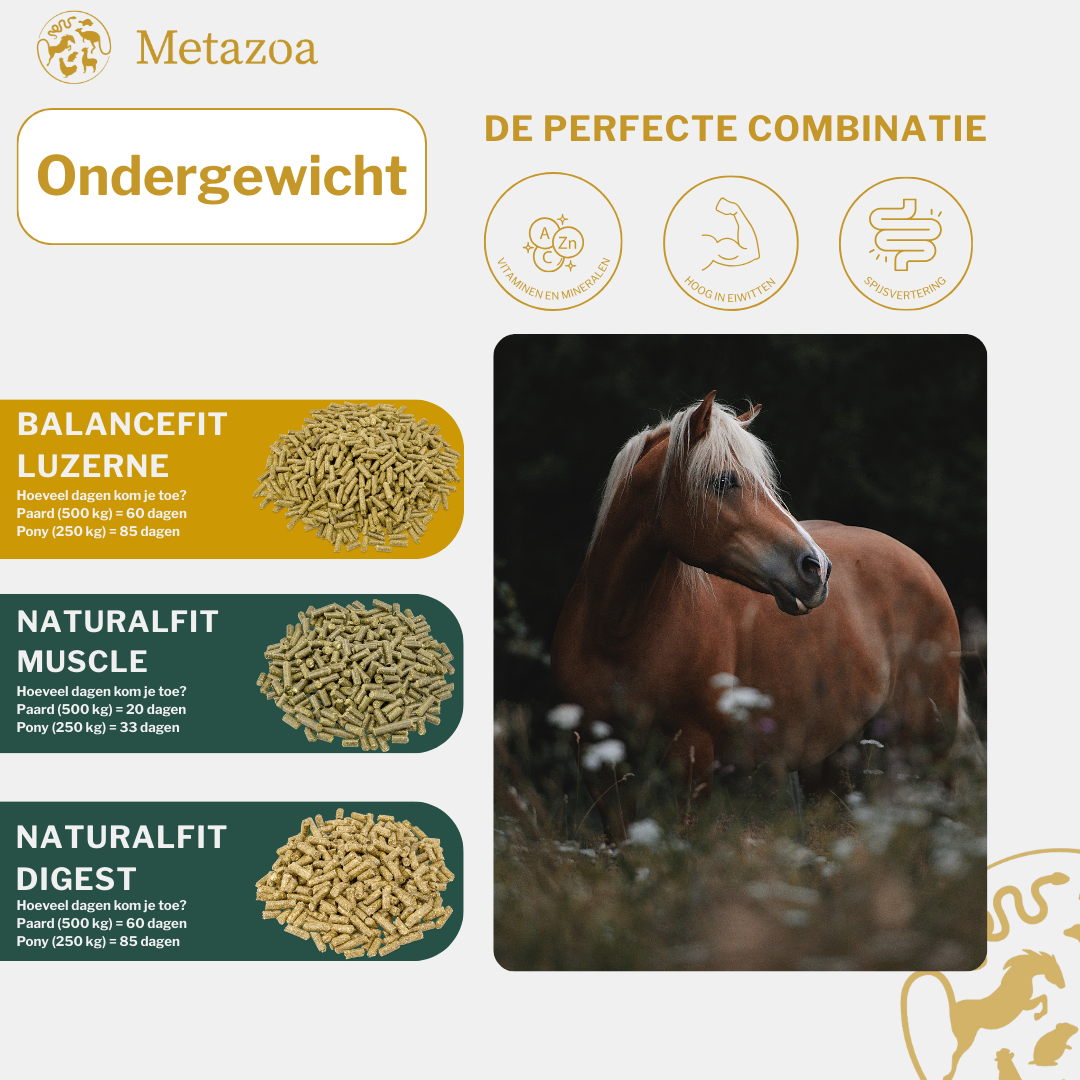 Ondergewicht