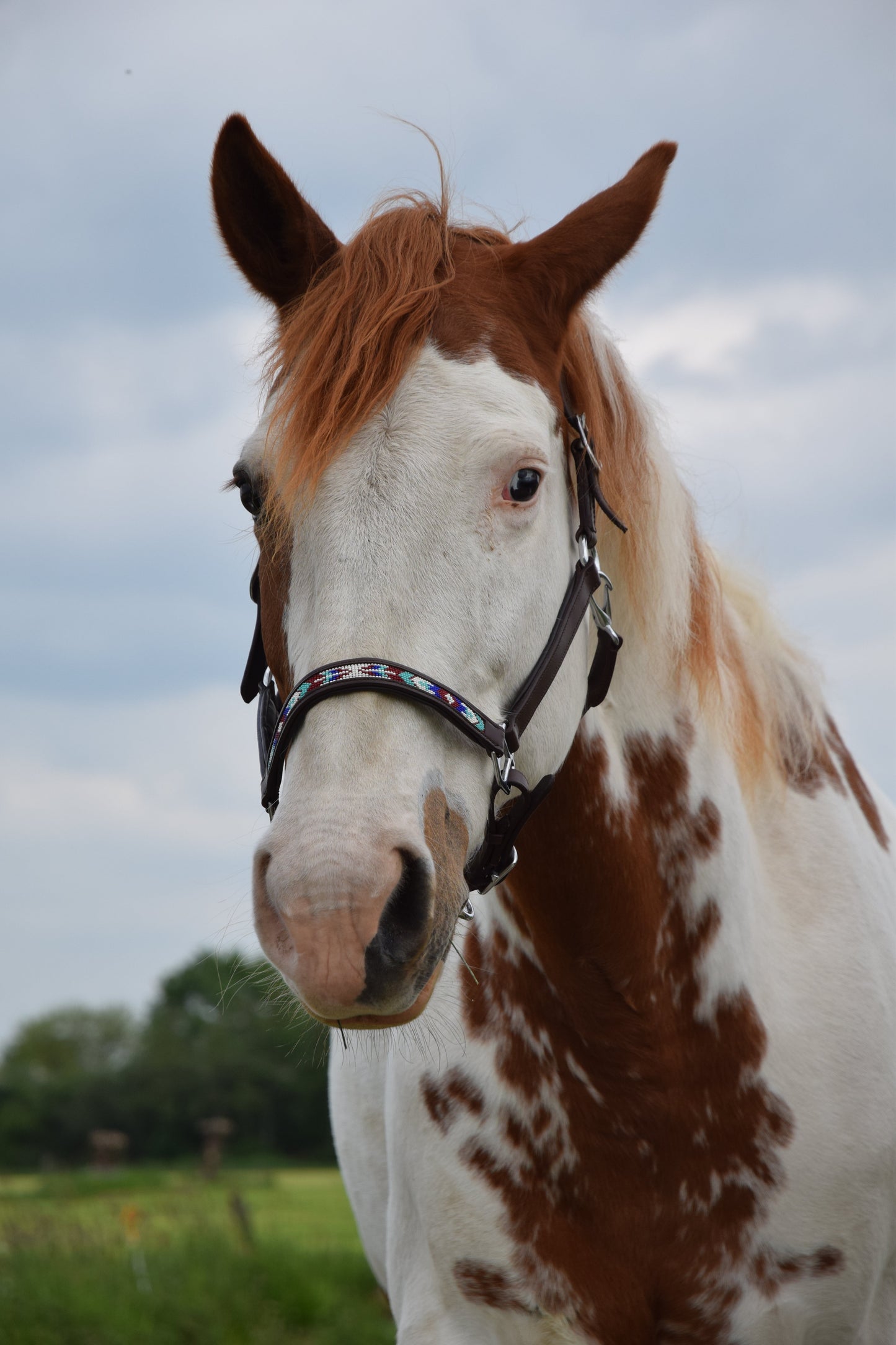 FMH - Cognac lederen halster met kraaltjes ‘Beaded Bronco Bluey’ blauw/turquoise/wit