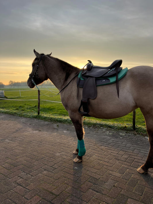 FMH - NeoPro the Solids - Neoprene beenbeschermers boots voor paarden (div. kleuren)