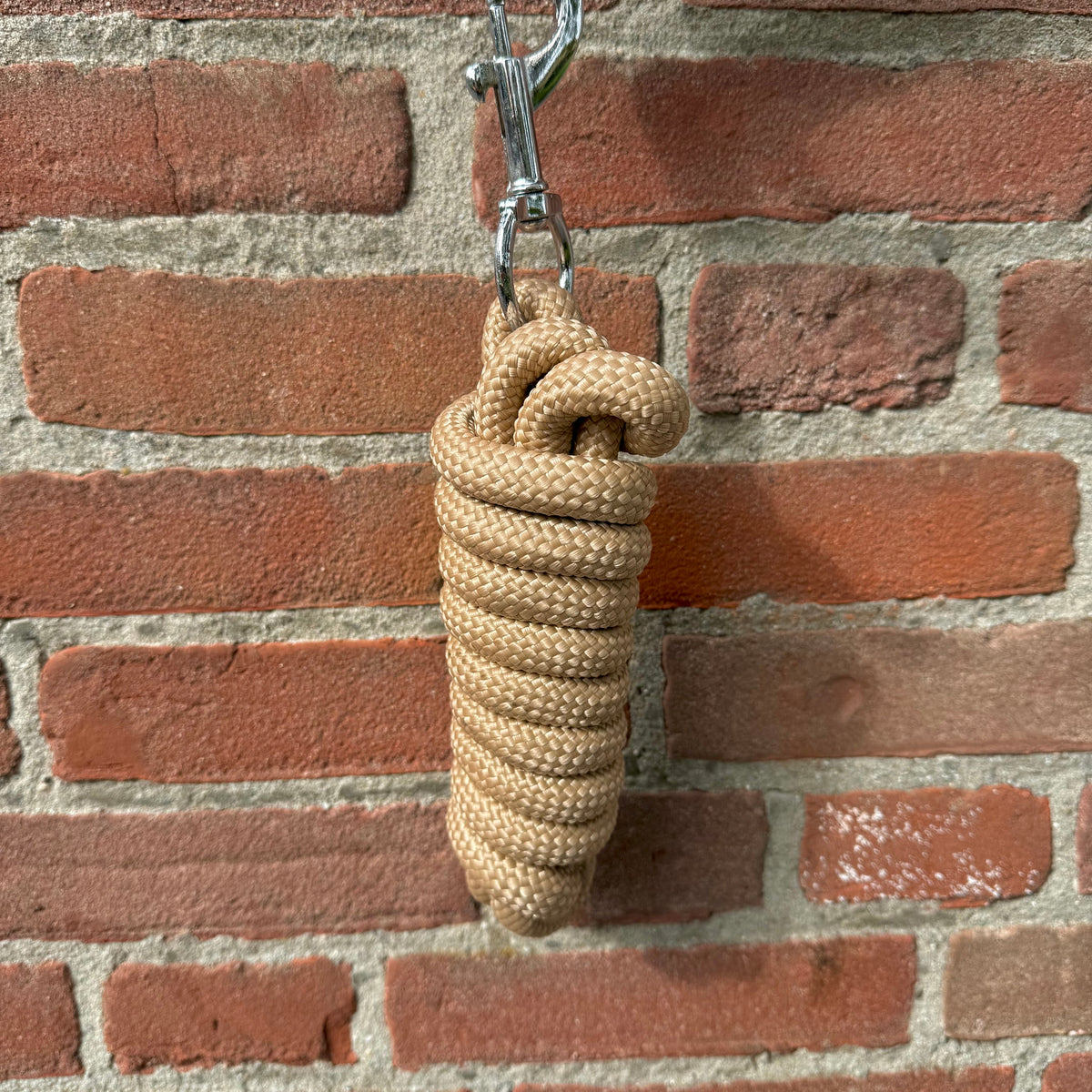 FMH - Havana lederen halsterset met gekleurd touw incl. halstertouw ‘Cream Heritage’