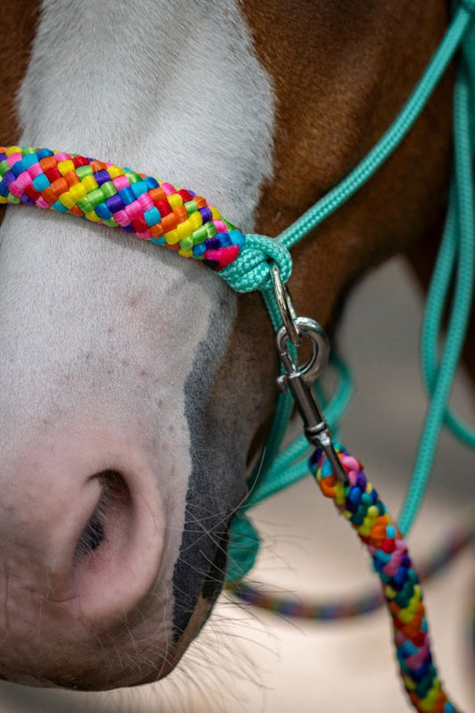 Het Paardenatelier - Touwhalster set rijhalster + teugels ‘Rainbow’ mint