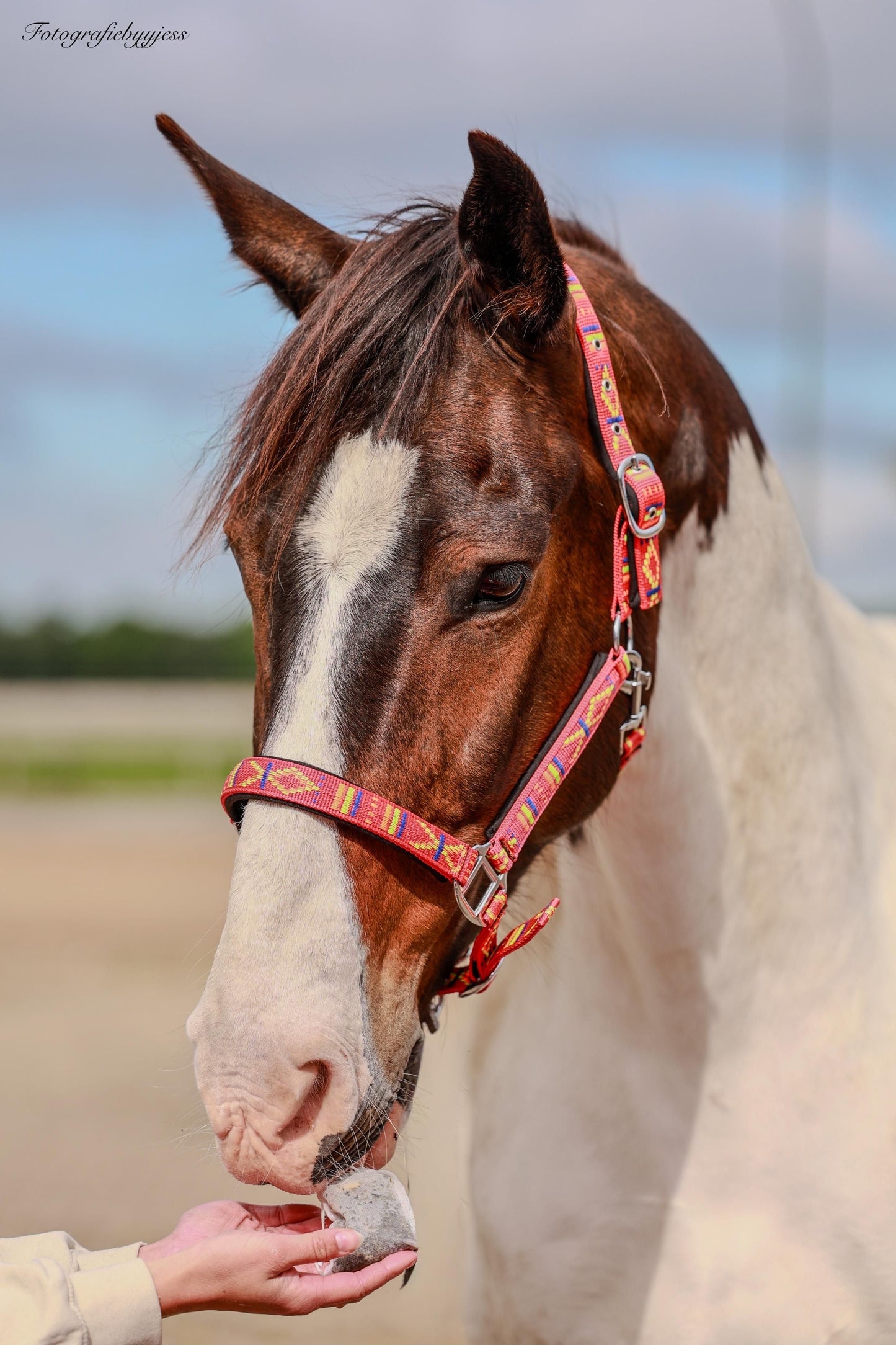 FMH - Geborduurd nylon halster met padding ‘Nomad Spirit’ rood