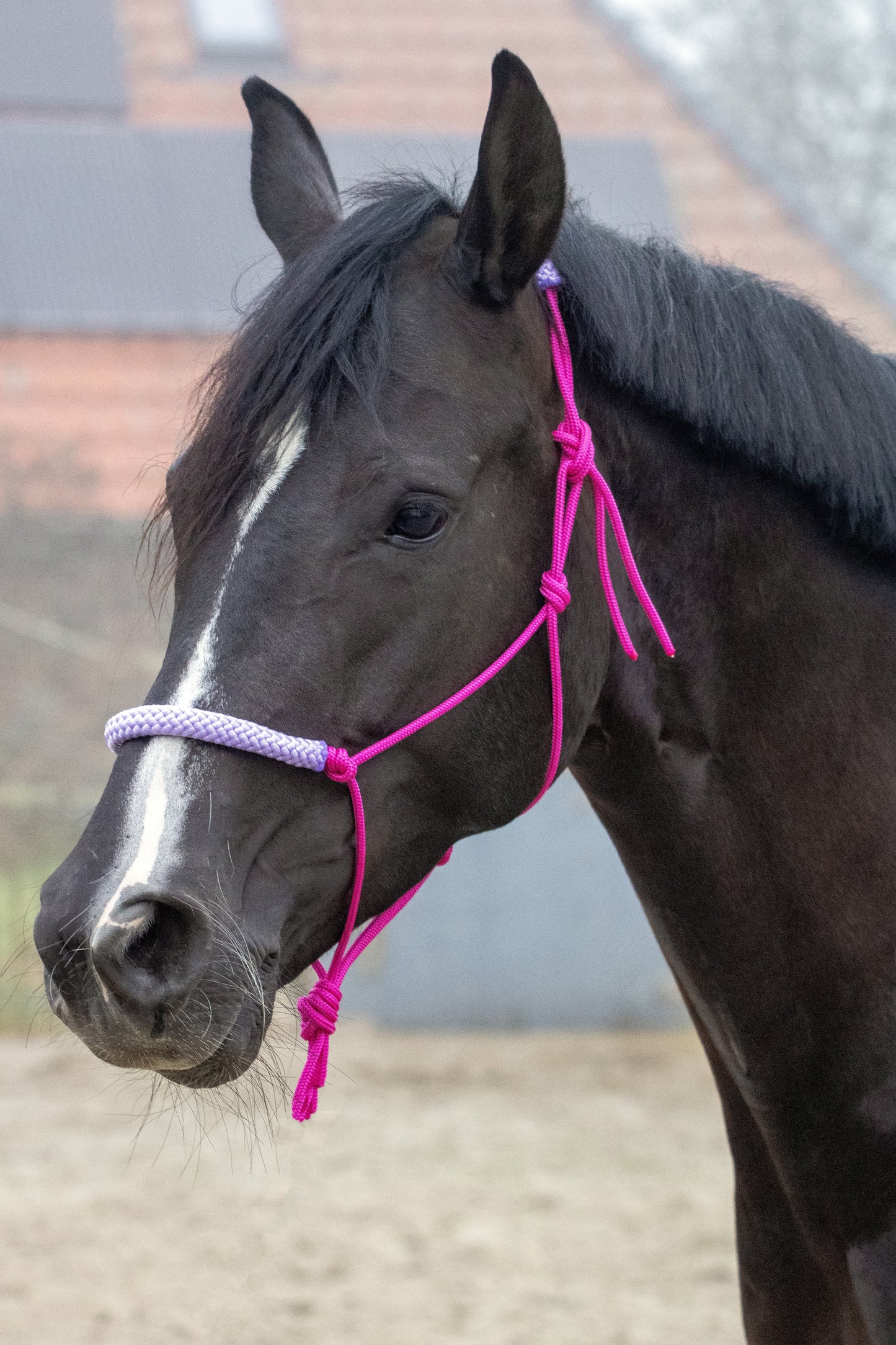 Touwhalster fuchsia met lila