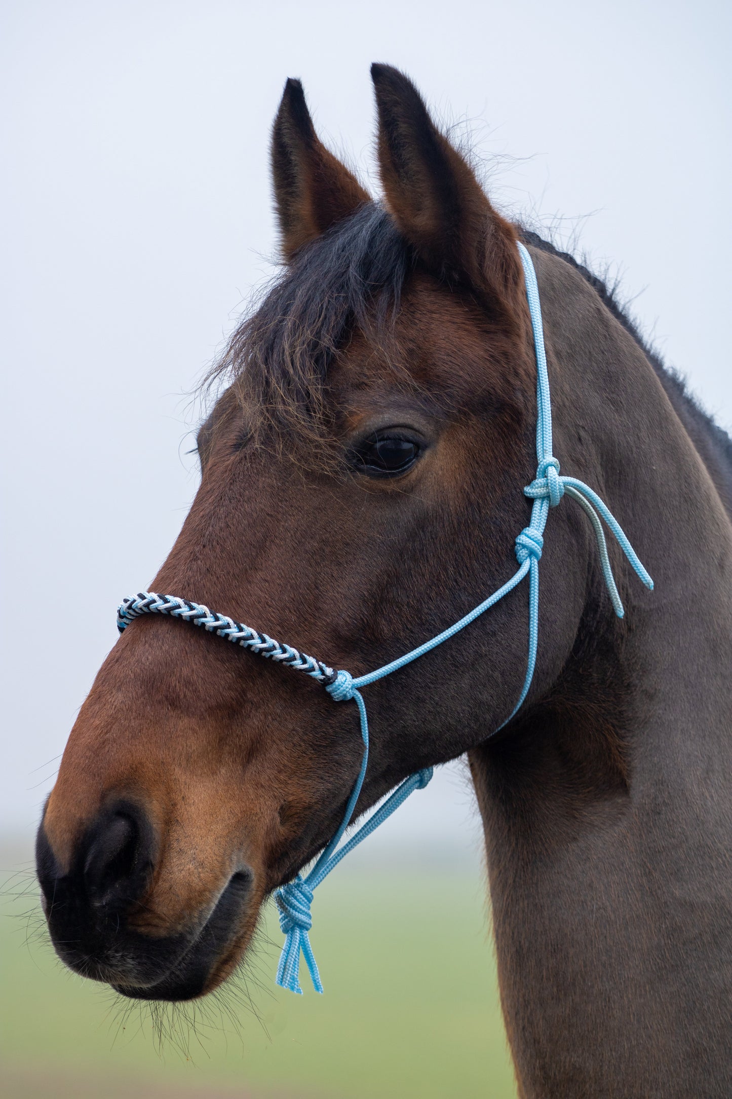 Touwhalster met gevlochten neusband babyblauw, wit en zwart