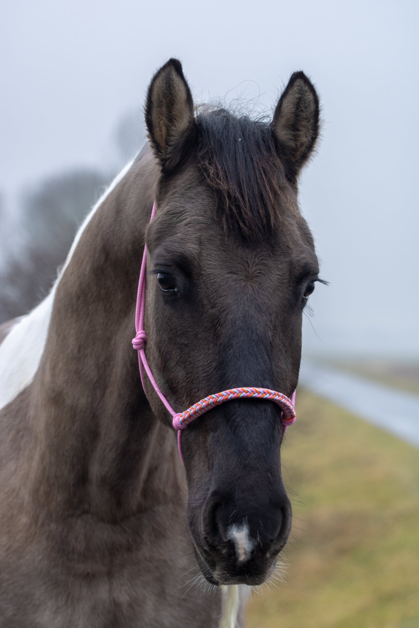 Touwhalster met gevlochten neusband babyroze, babyblauw en oranje