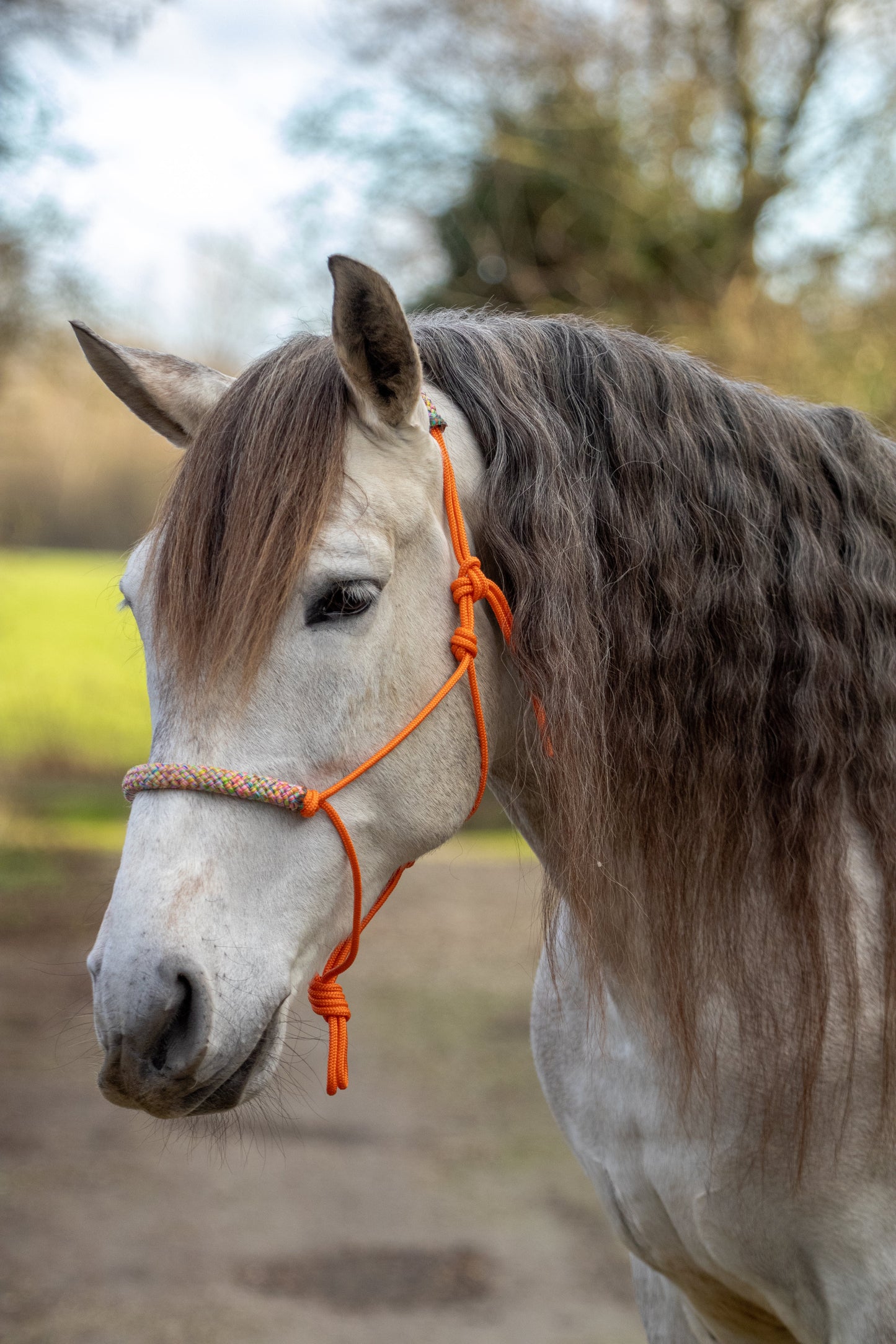 Touwhalster oranje met flower power