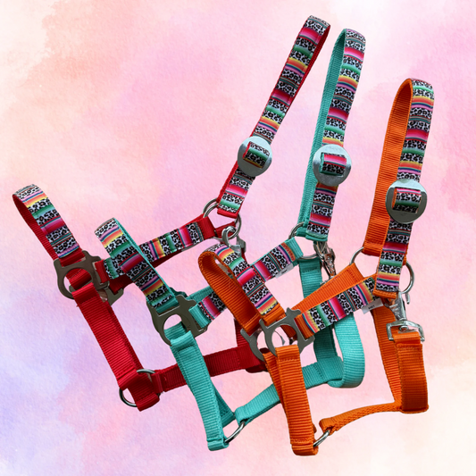 Happy Halsters x FMH - Colourful Panther Exclusive halster div. kleuren