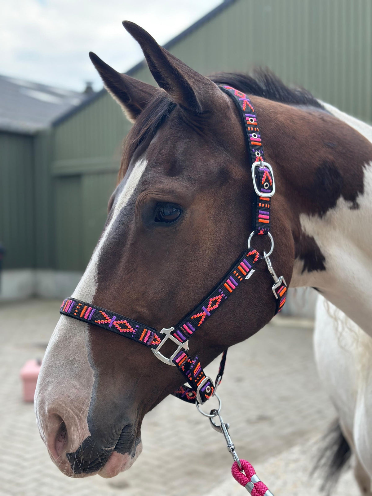 FMH - Geborduurd nylon halster met padding ‘Nomad Spirit Neon’