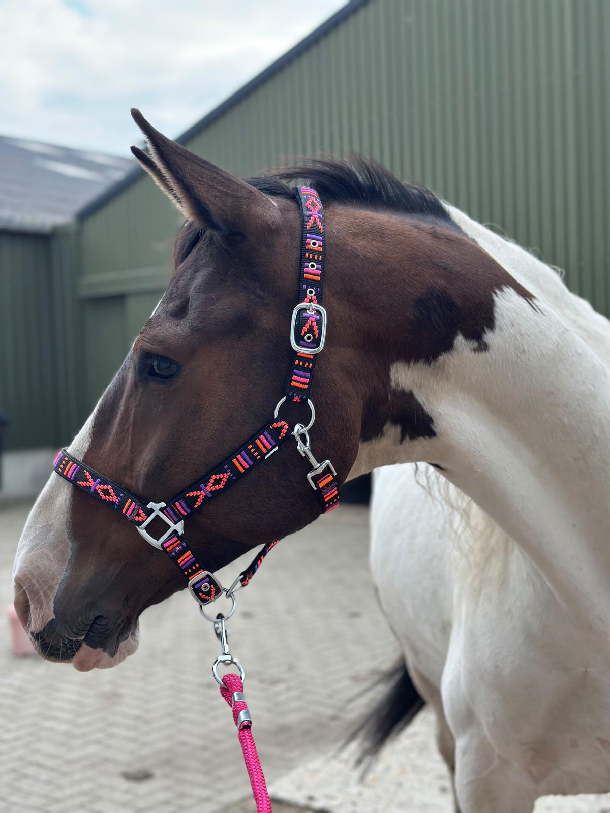 FMH - Geborduurd nylon halster met padding ‘Nomad Spirit Neon’