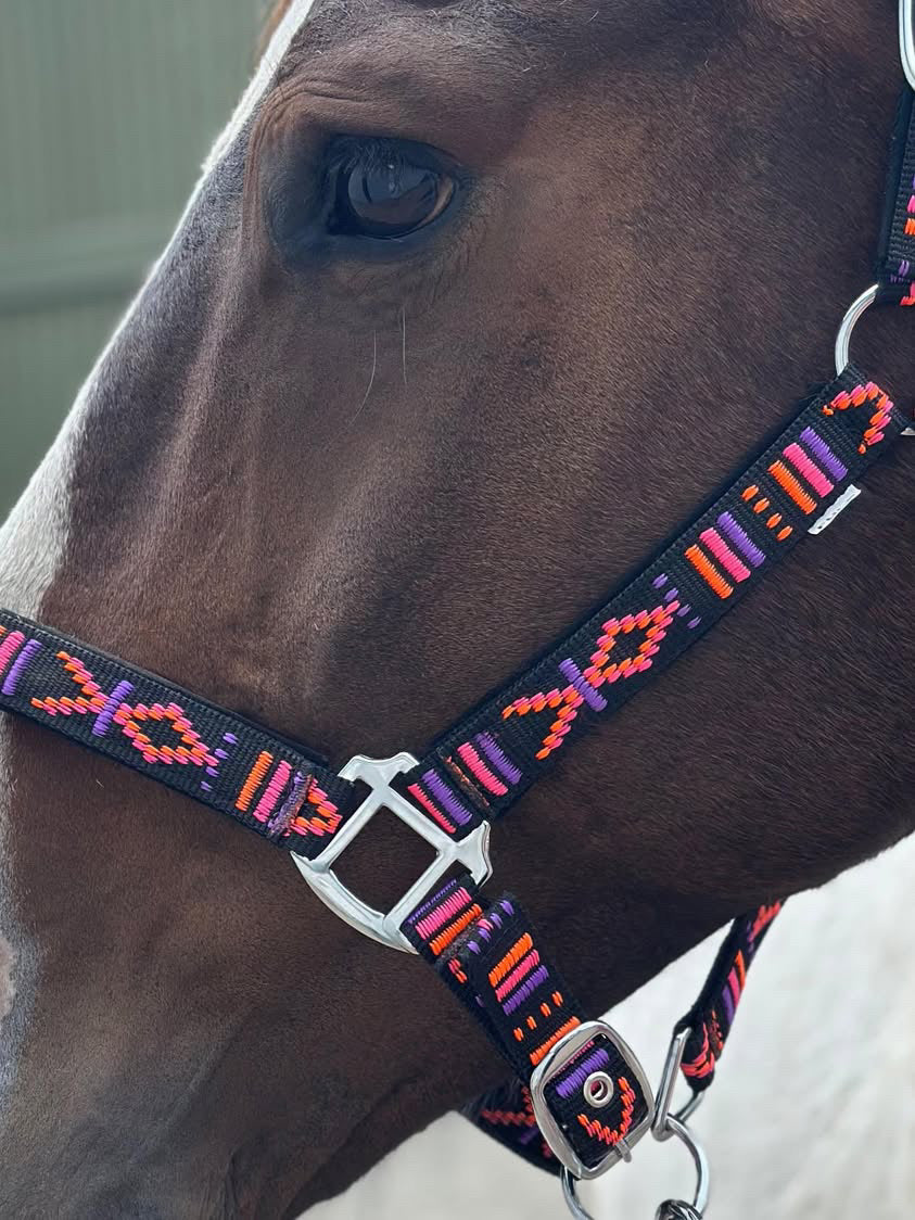 FMH - Geborduurd nylon halster met padding ‘Nomad Spirit Neon’