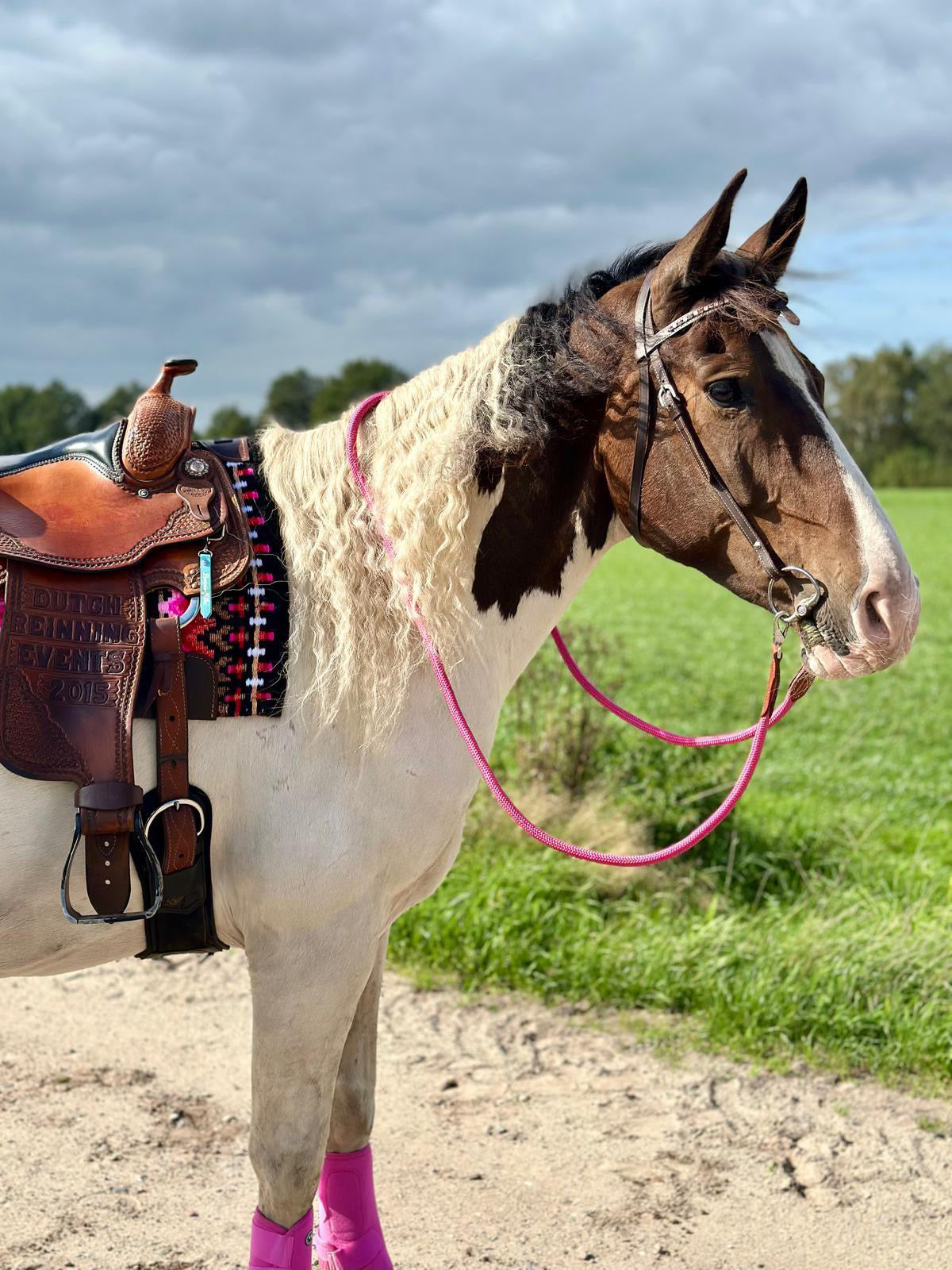 FMH - Gesloten teugels van touw met lederen detail en clip ‘Rope Rein Pink’