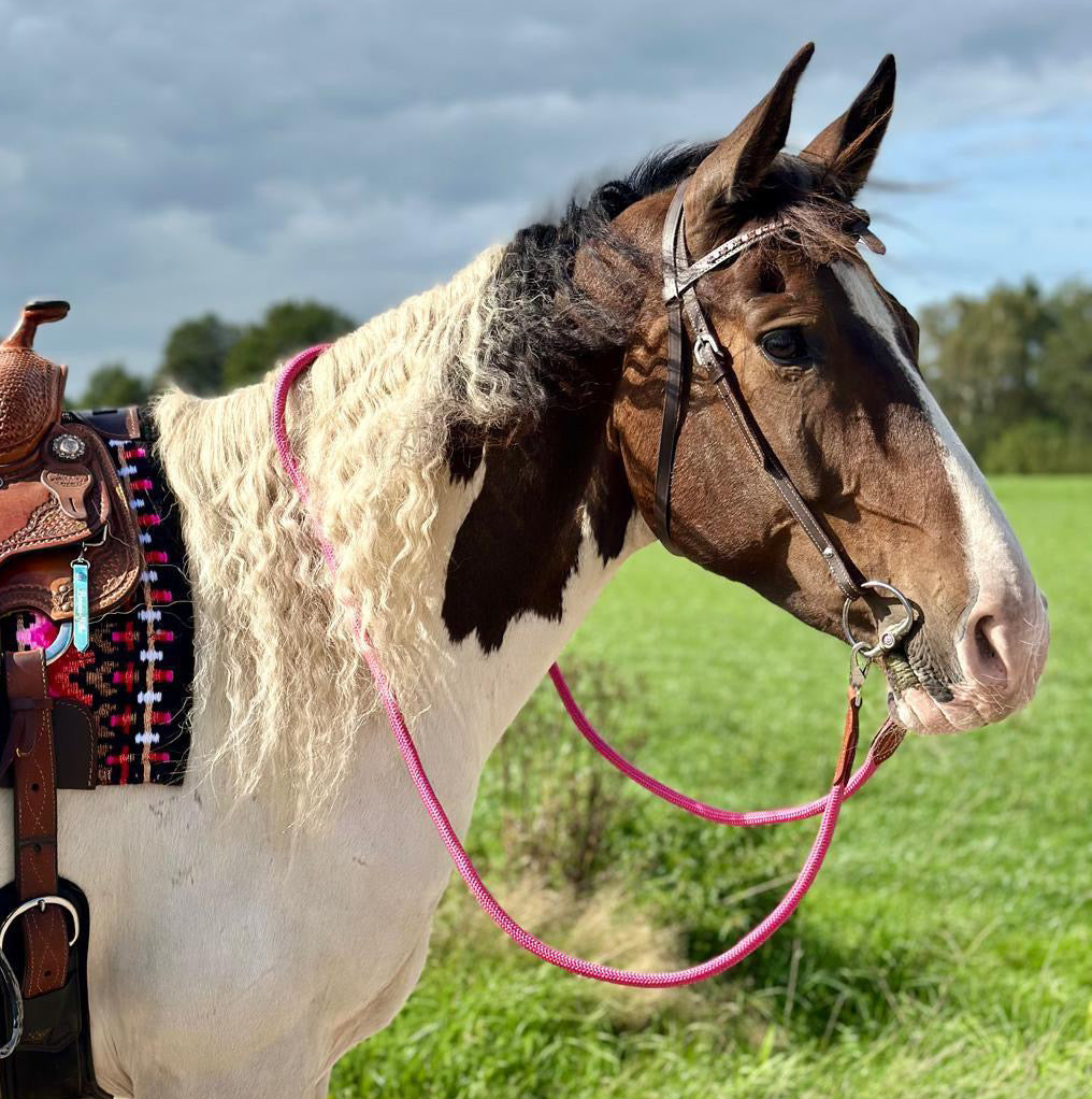 FMH - Gesloten teugels van touw met lederen detail en clip ‘Rope Rein Pink’