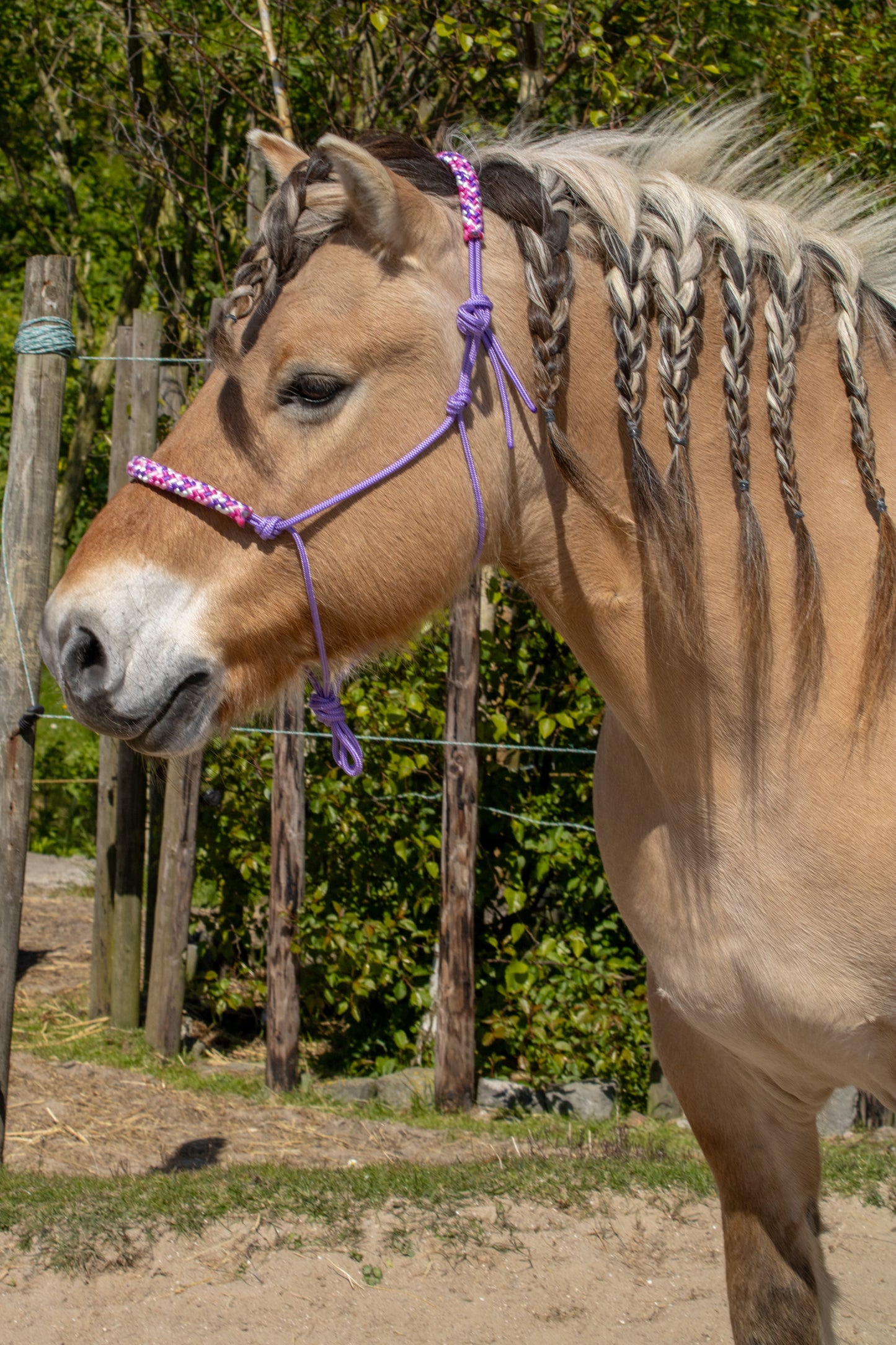 Touwhalster paars met country girl neus en oorband