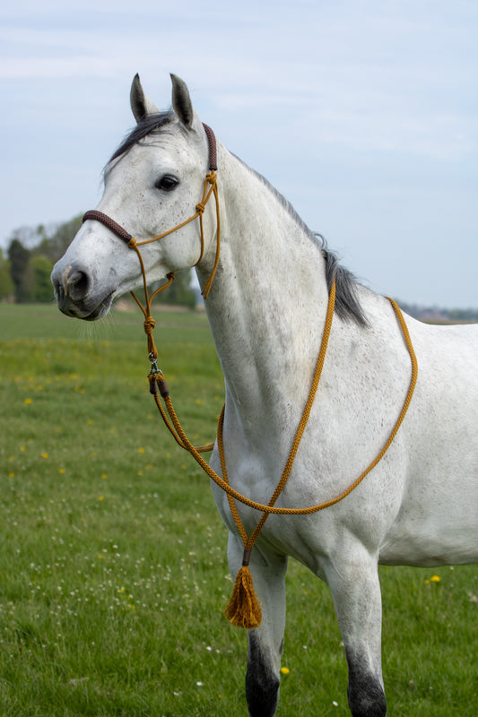 Touwhalster set cool karamel