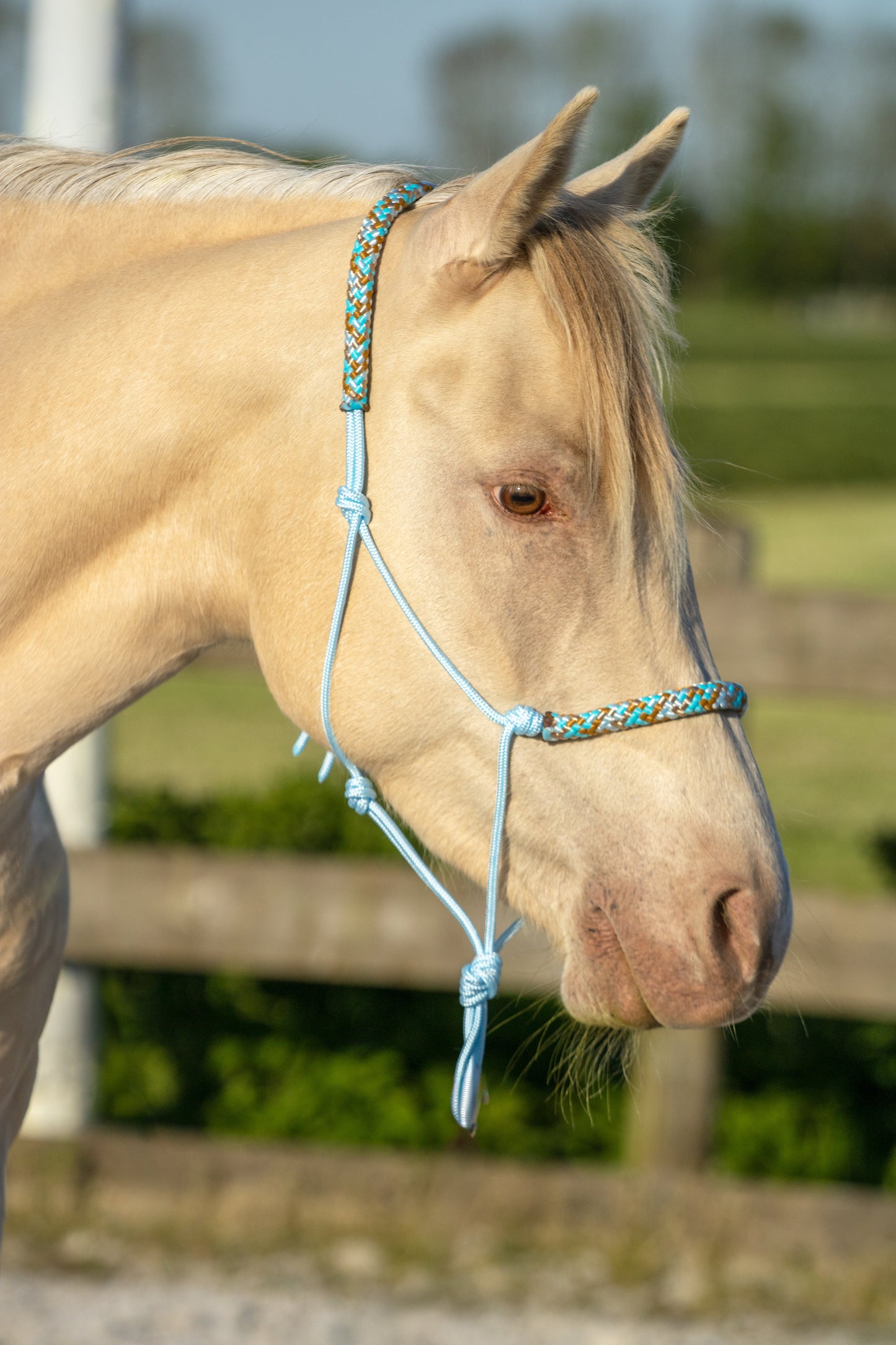 Touwhalster babyblauw met discuss vis neus en oorband