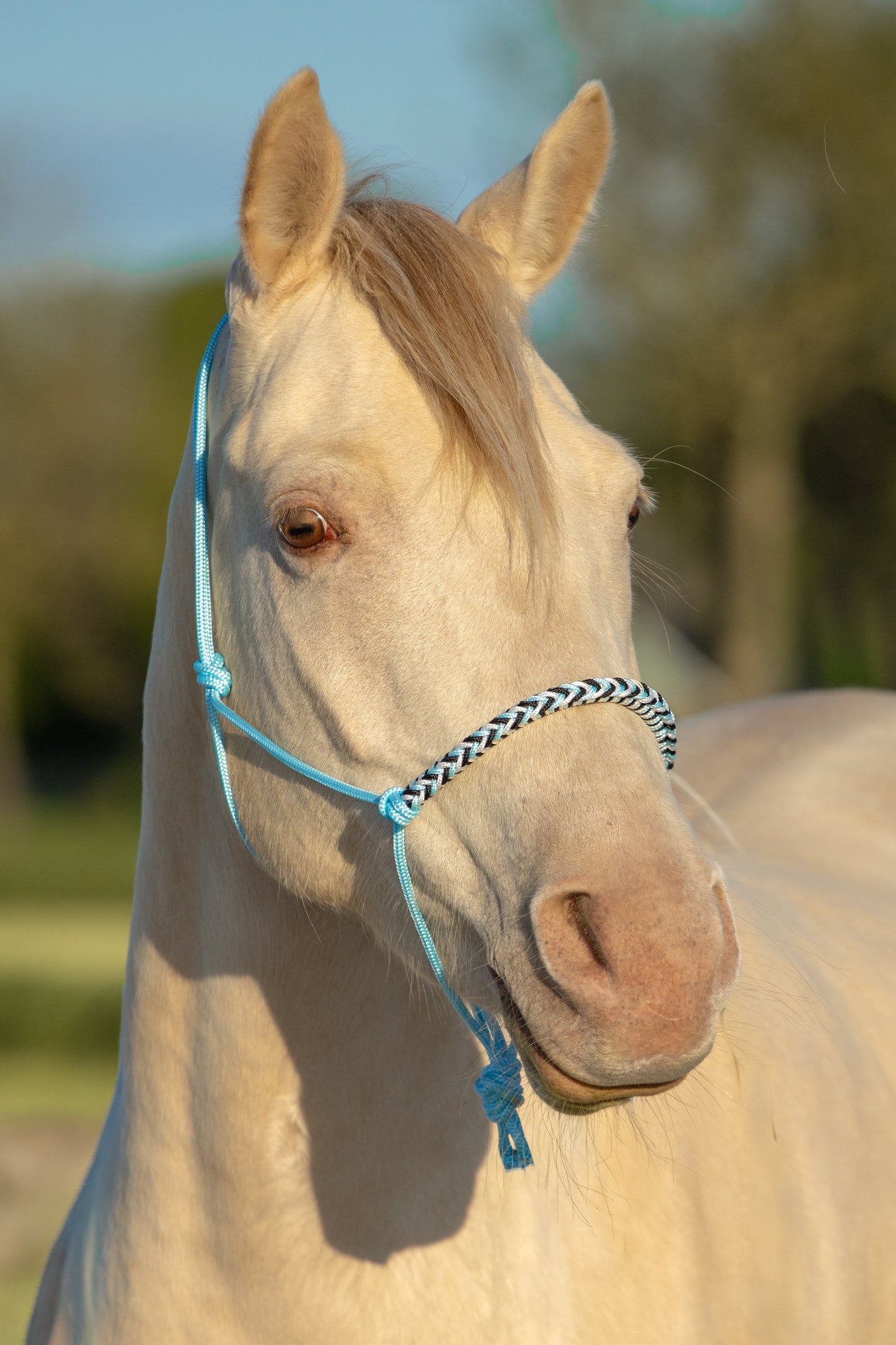 Touwhalster sky blue