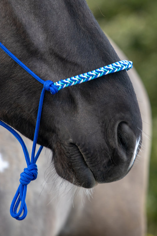 Touwhalster met gevlochten neusband kobalt, wit en turquoise