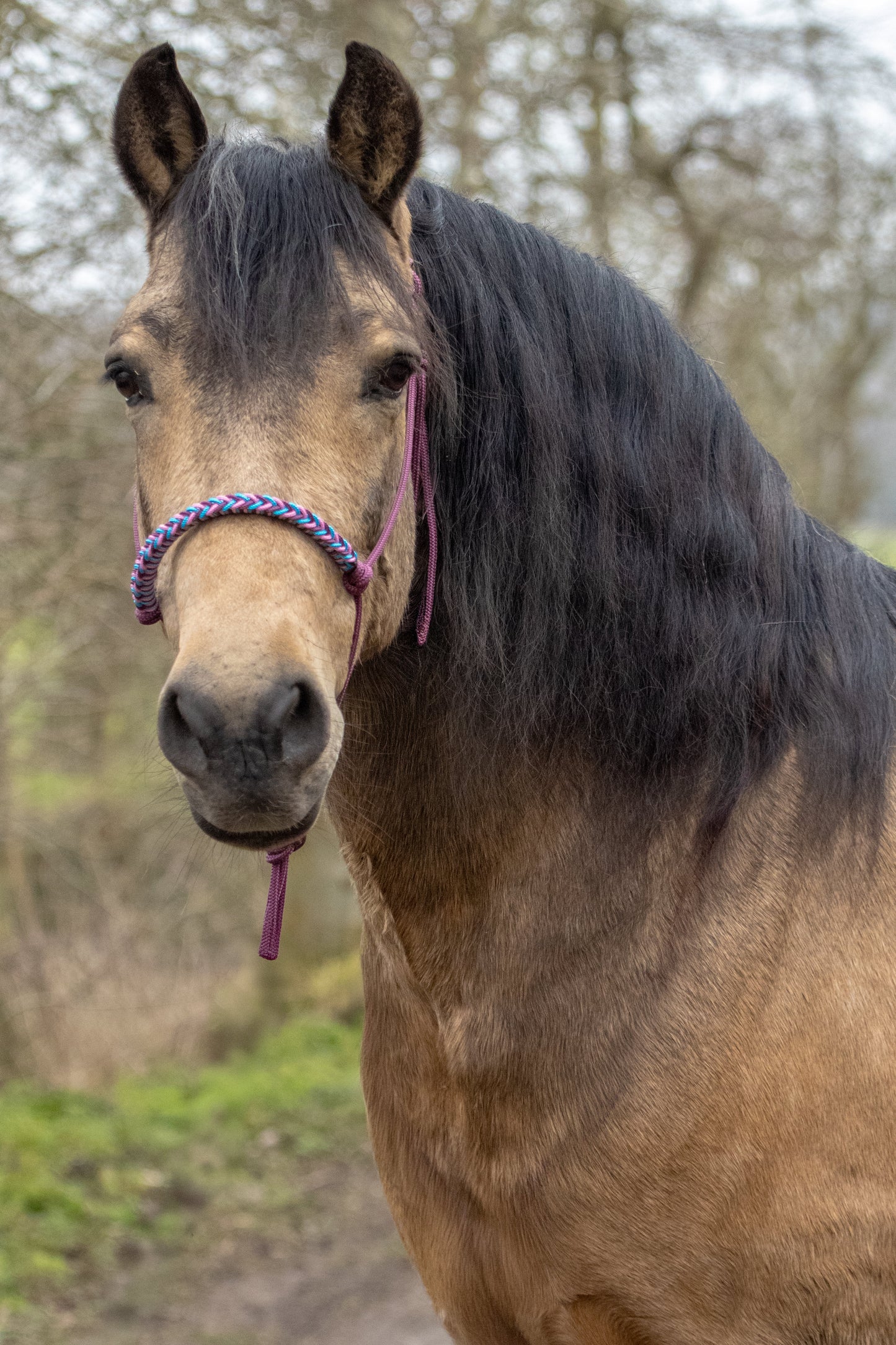 Touwhalster gevlochten neusband bordeaux, oceaan blauw en babyroze
