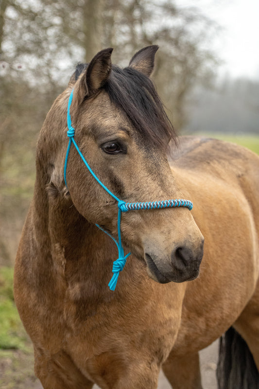 Touwhalster viënna neusband oceaan blauw, koper, babyblauw en bruin