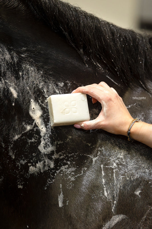 Nano Zilver Soap Bar