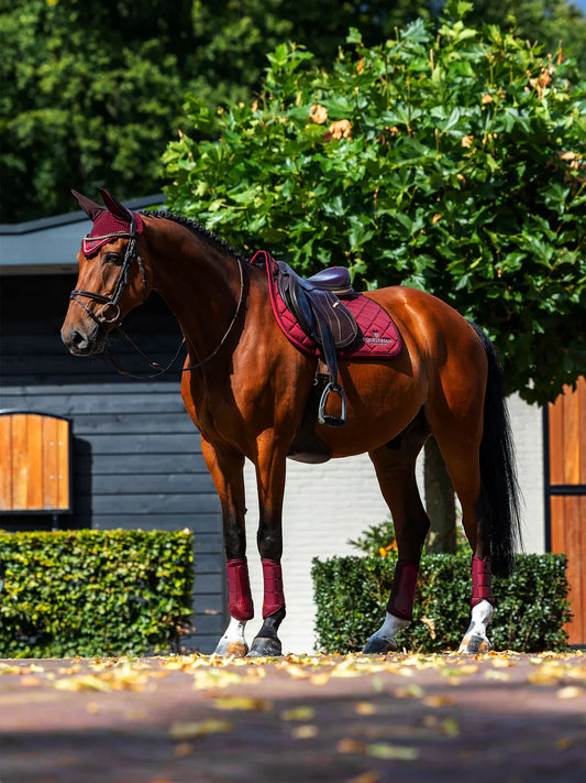 Equestrian Stockholm - Line Collection - Bordeaux Jump Saddle Pad springzadeldek