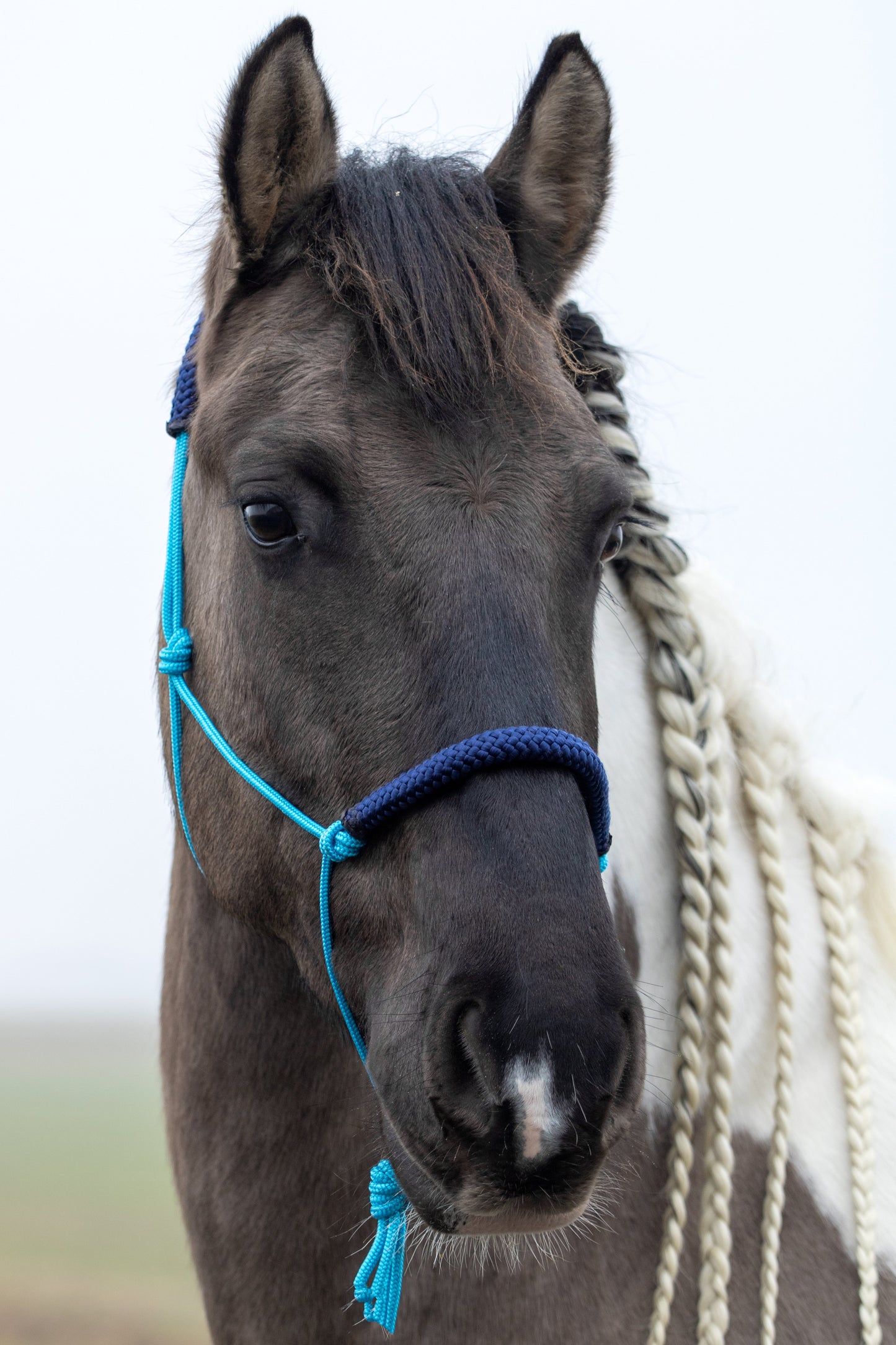 Touwhalster oceaan blauw met donkerblauw