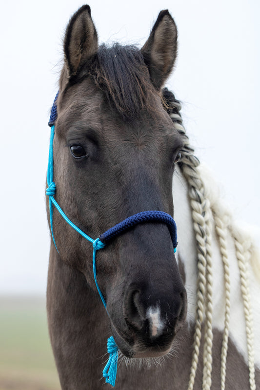 Touwhalster oceaan blauw met donkerblauw