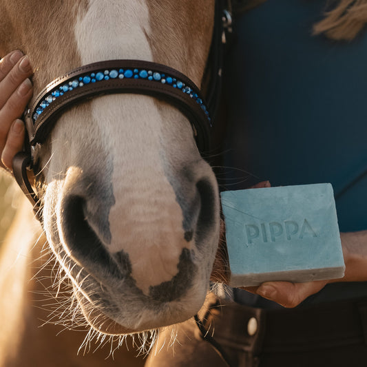 PIPPA Paardenshampoo Aloë Vera & Avocado
