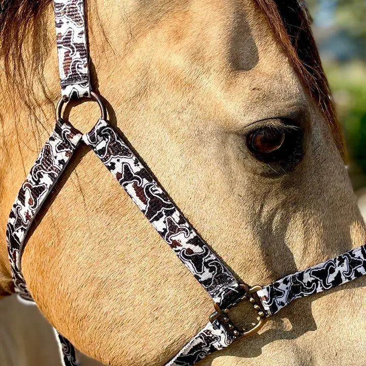 Schulz Equine - Halster Cattle drive