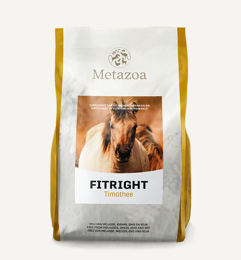 Metazoa | FitRight Timothee