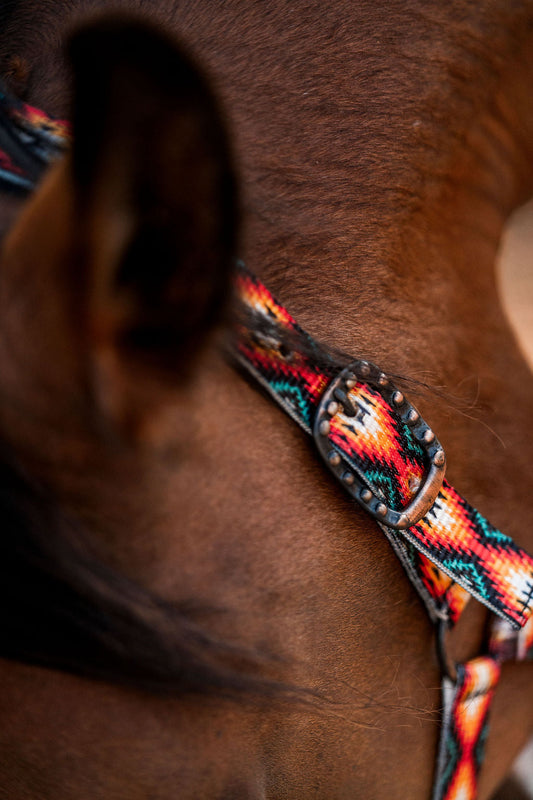 Schulz Equine - Halster Sunset aztek