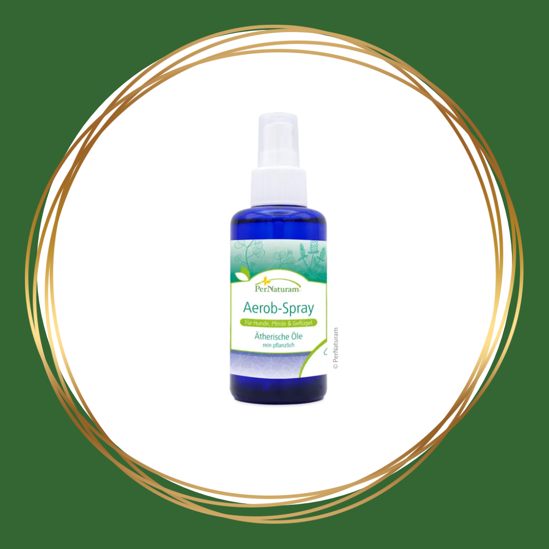 Aerob Spray van Pernaturam – natuurlijke spray ter ondersteuning van de luchtwegen van paarden, helpt bij ademhalingsproblemen en bevordert een vrije ademhaling.