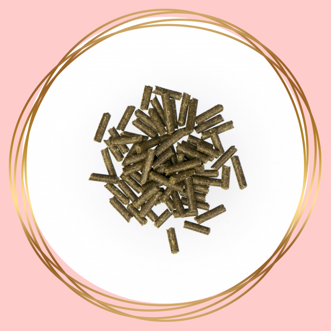 Agrobs Selenium Pur – puur seleniumsupplement voor paarden, ondersteunt spieren, weerstand en stofwisseling