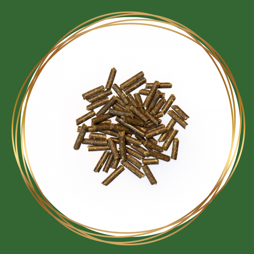 Agrobs Zink Pur – puur zinksupplement voor paarden, ondersteunt huid, vacht en afweersysteem