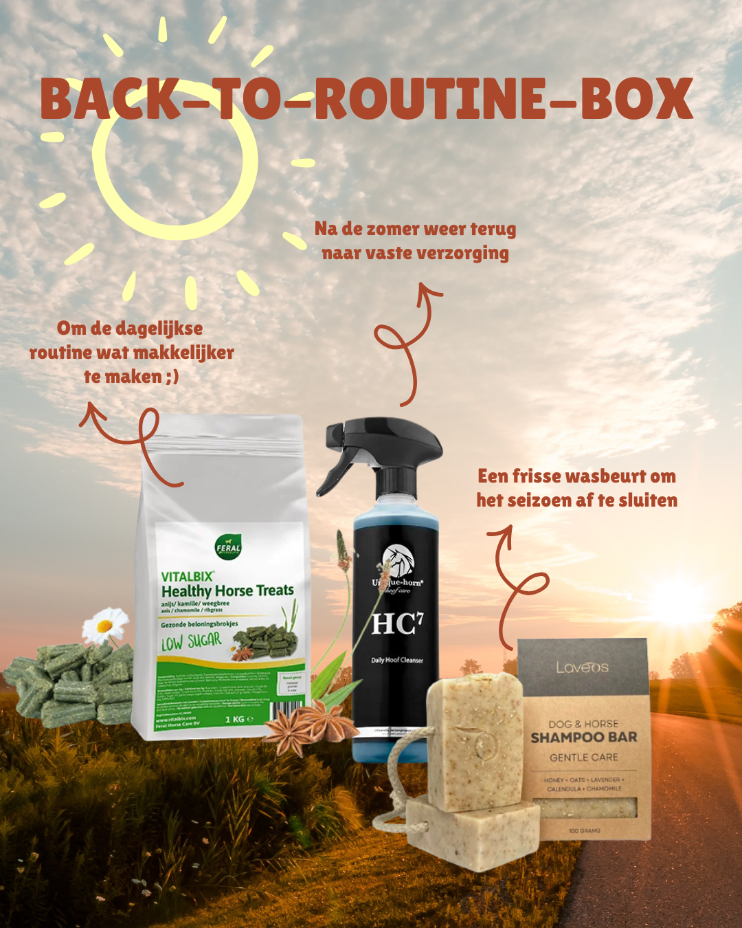 Back to Routine Box met Vitalbix Healthy Horse Treats, Unique-horn HC7 hoevenreiniger en Laveos Gentle Care shampoobar.