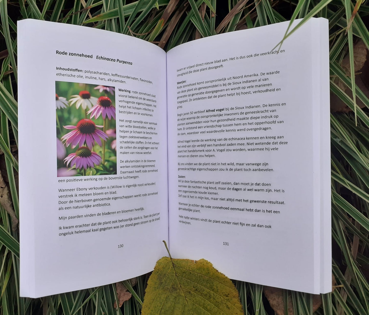 Boek van Hannet ten Rietbrink: De natuur als krachtige basis voor jouw paard – over natuurlijke gezondheid, voeding en welzijn