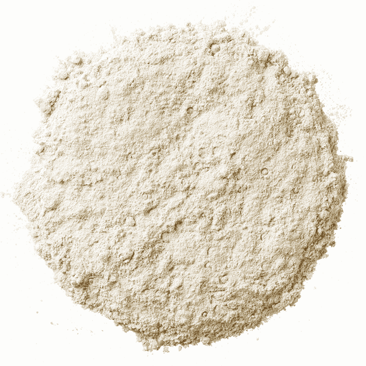 Paard in soepele beweging dankzij ondersteunend aanvullend diervoeder