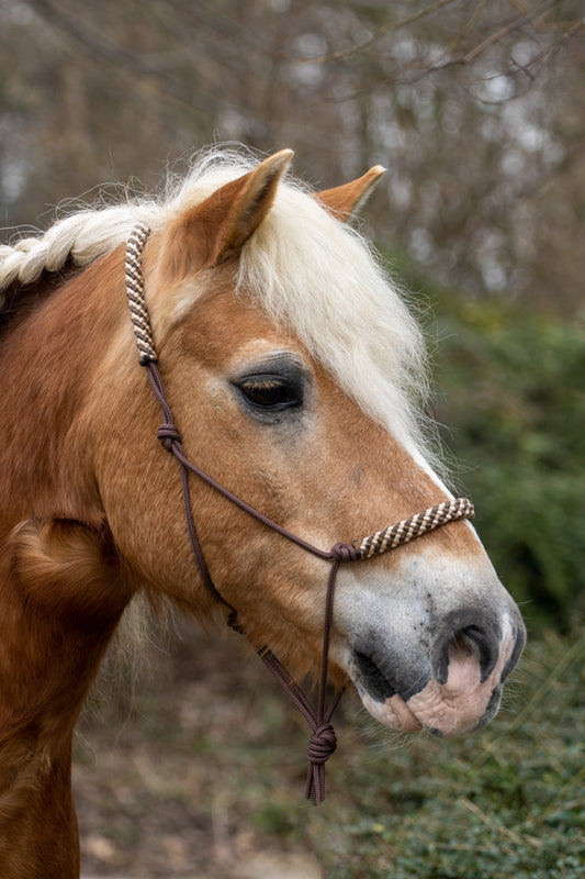 Touwhalster bruin met beige/bruin neus en oorband