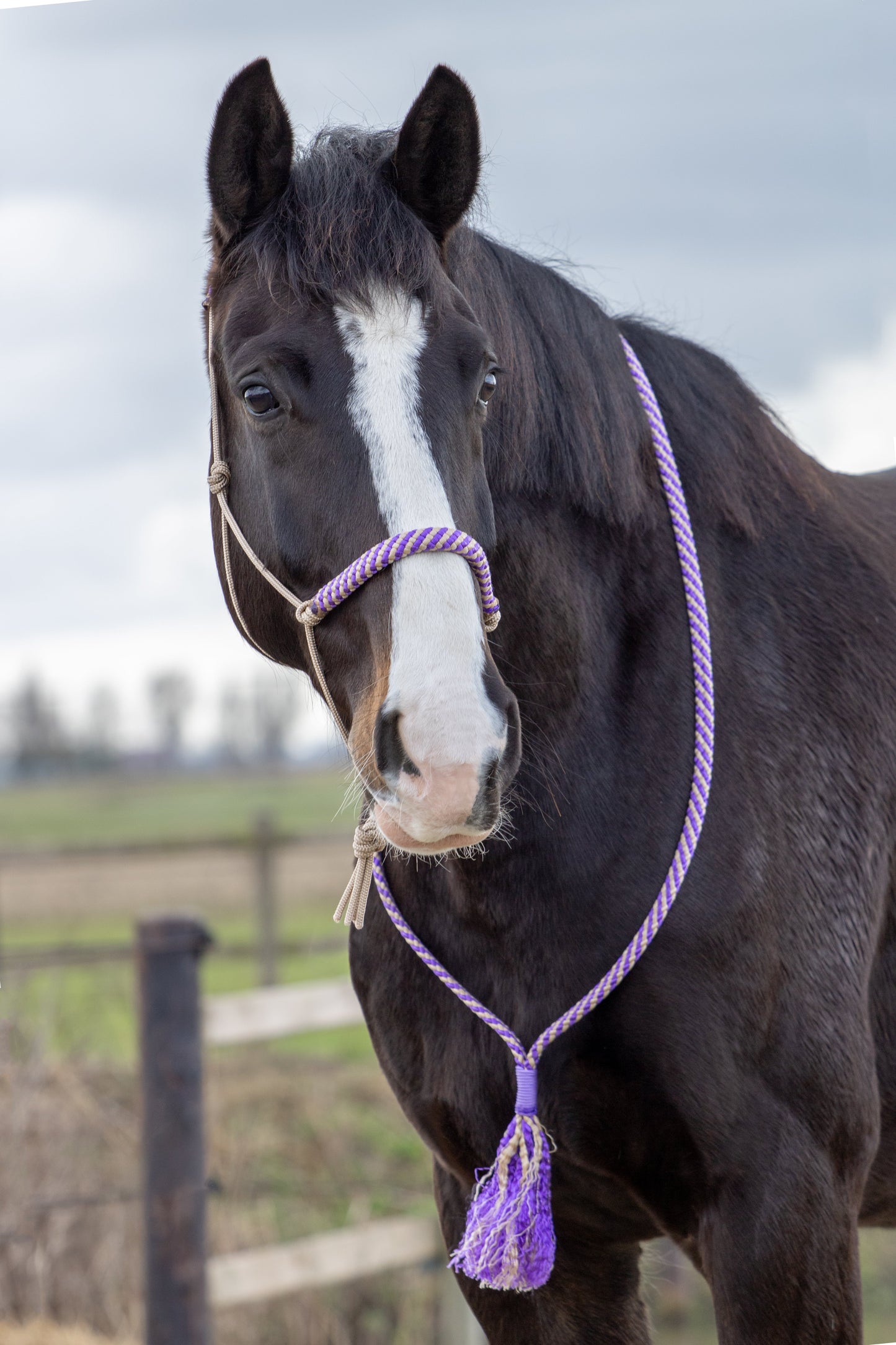 Touwhalster set lavendel