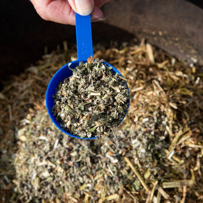 Hilton Herbs Cush X – natuurlijk supplement voor hormonale balans en hypofyse-ondersteuning bij paarden