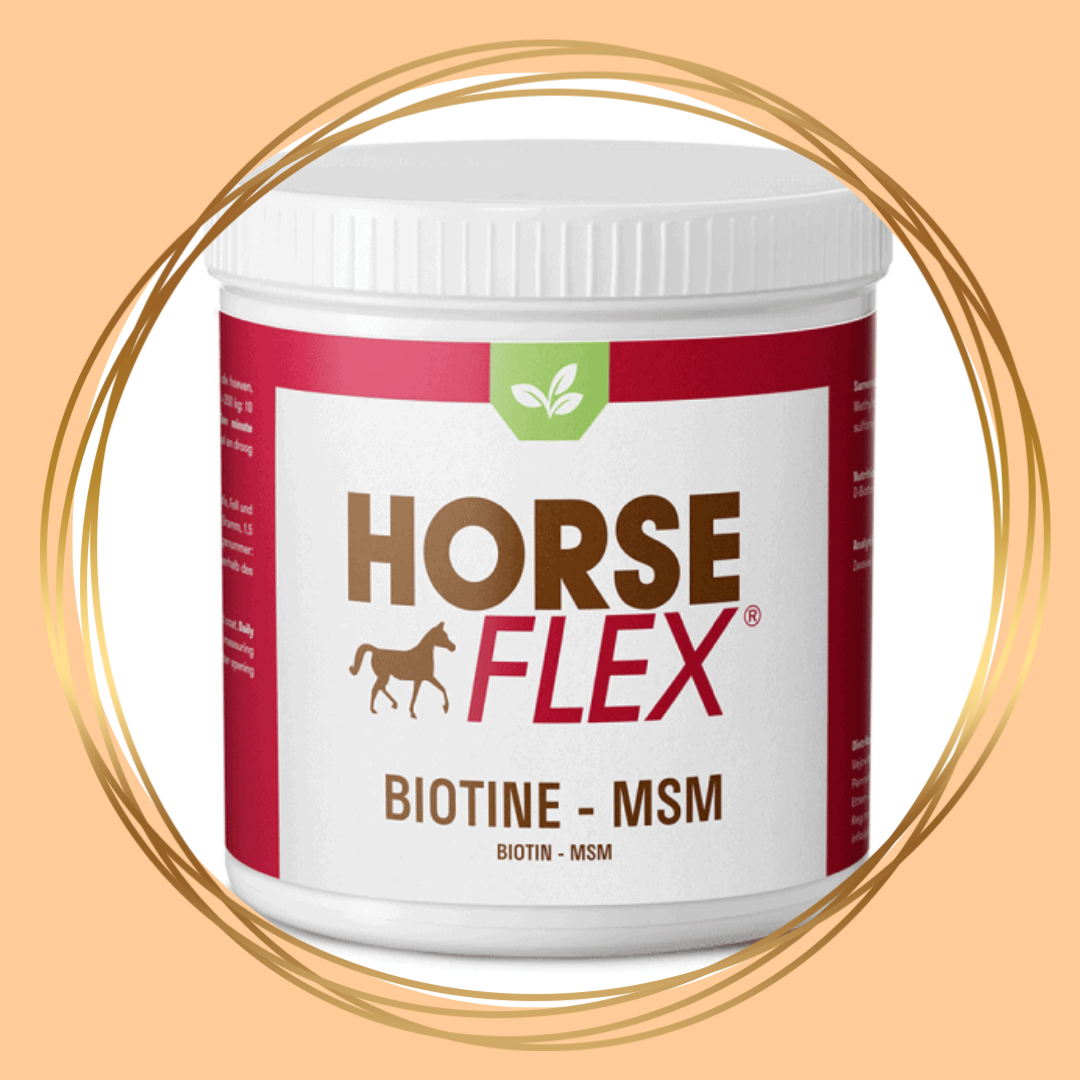 HorseFlex Biotine-MSM supplement voor paarden ter ondersteuning van hoeven, huid en vacht.