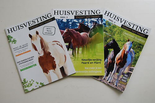 Magazine Huisvesting vanuit het paard deel 2 – praktische inzichten voor natuurlijk huisvesten, beweging en sociaal contact bij paarden