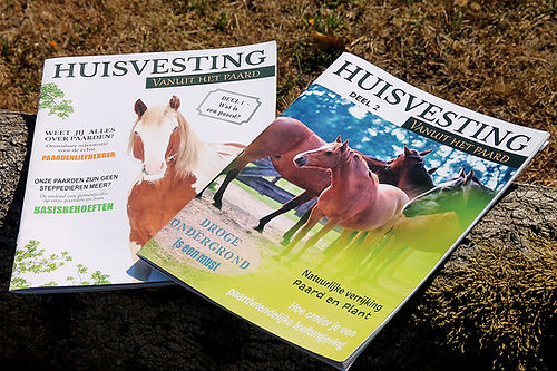 Magazine Huisvesting vanuit het paard deel 2 – praktische inzichten voor natuurlijk huisvesten, beweging en sociaal contact bij paarden