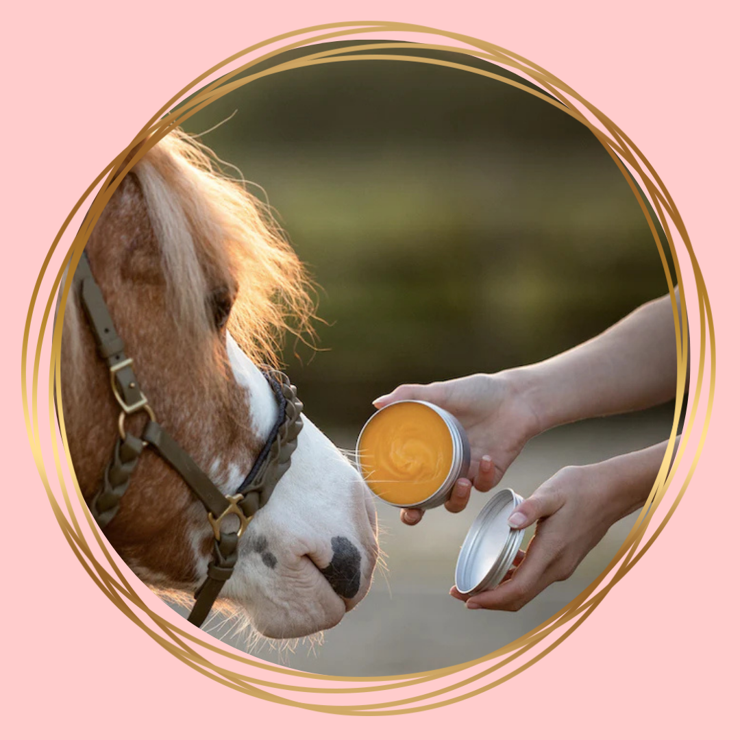 Laveos Honey Salve – natuurlijke honingzalf voor paard en hond