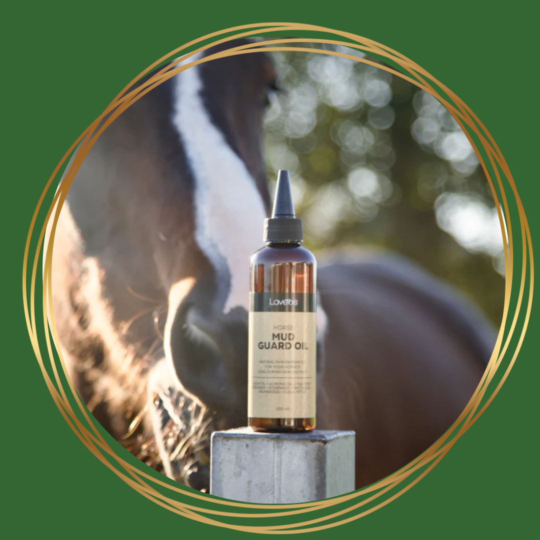 Laveos Mud Guard Oil als natuurlijke barrière tegen modder en nattigheid voor paardenbenen