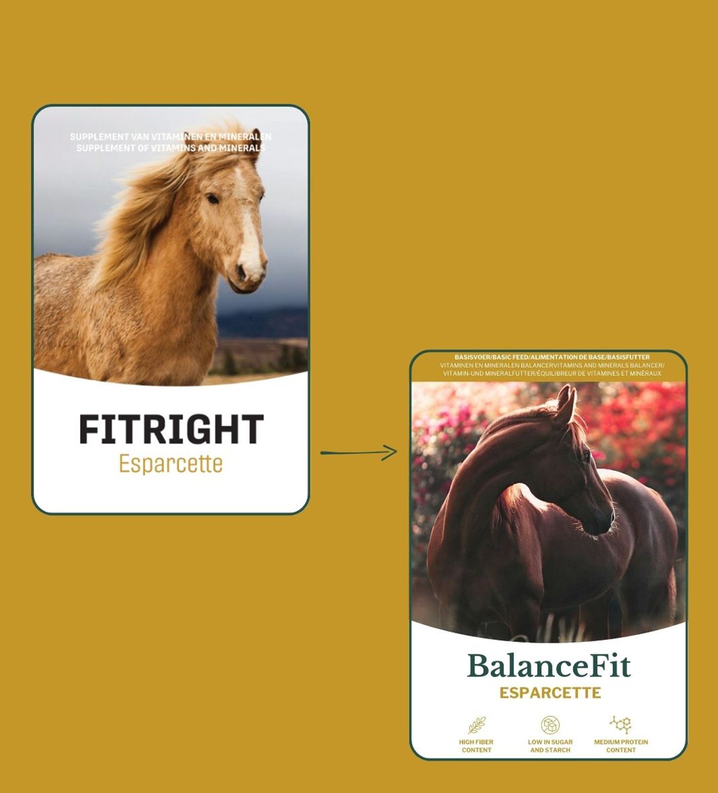 Metazoa BalanceFit Esparcette – ideaal voor paarden met maag- en darmgevoeligheden